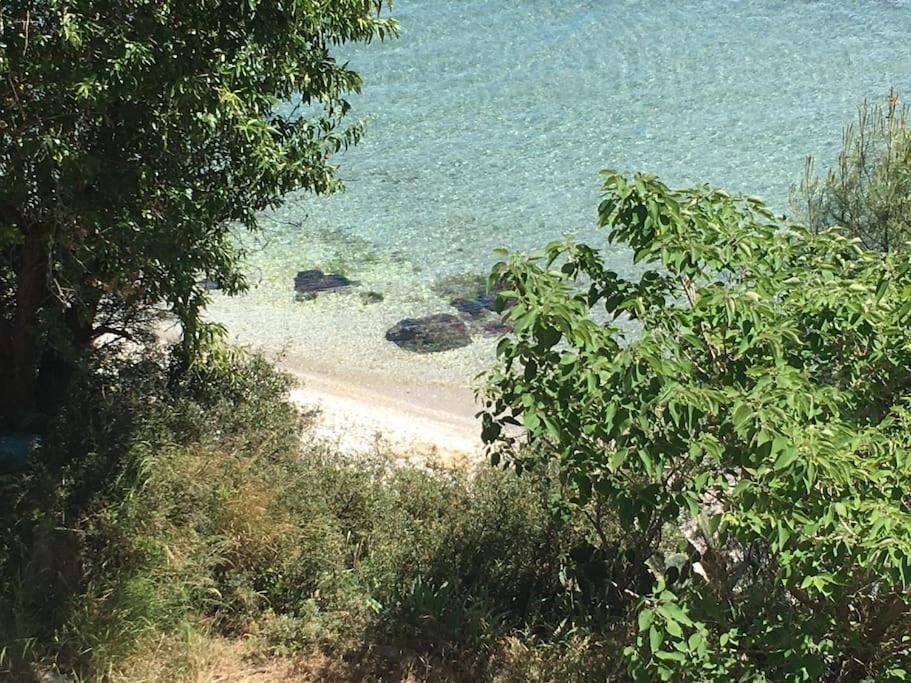 T3 Les Pieds Dans L'Eau Lejlighed Istres Eksteriør billede
